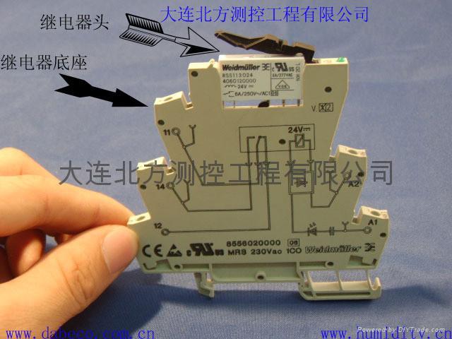 DB505农业大棚养殖智能温湿度控制器 3