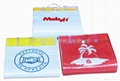beach mat 5