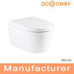 Washdown wall-hung toilet