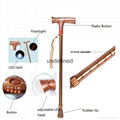 Telescopic/Retractable FM Radio Trekking Pole with LED Safety Walking Stick  1