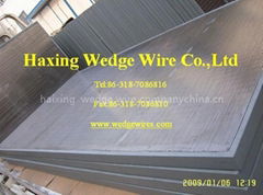 curved wedge wire screen