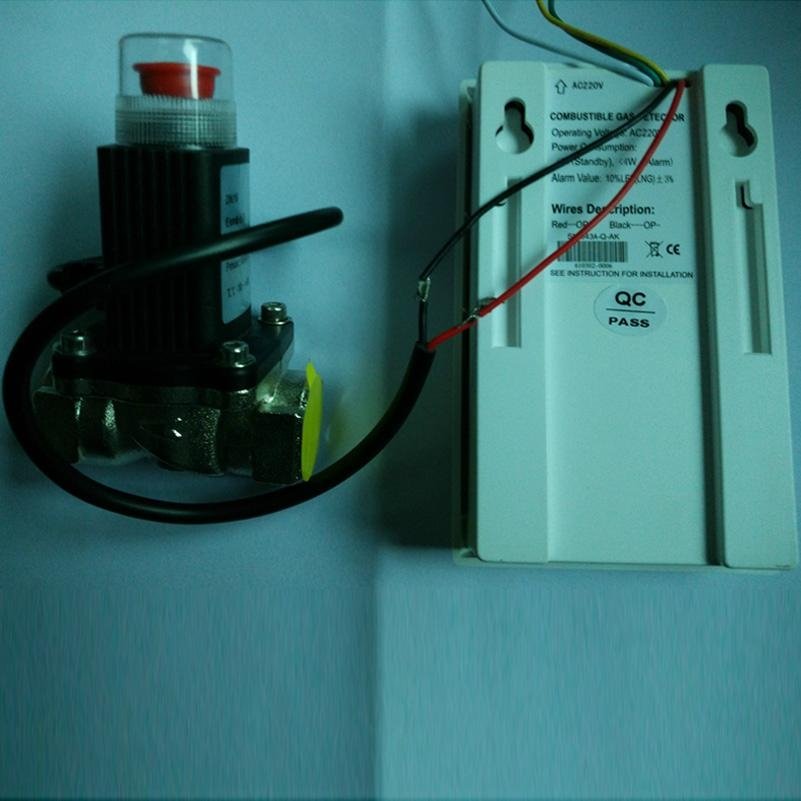gas alarm with output