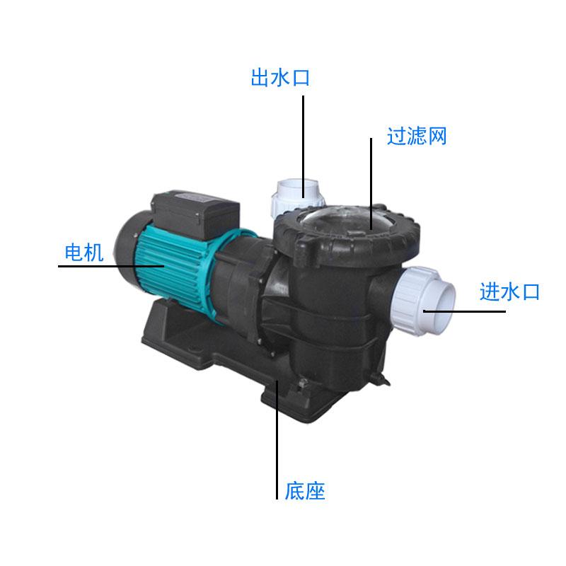 海水泵STP250大流量清水泵带过滤网养殖场用循环泵 3