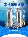 Submersible stainless steel pumps QDX10-10-0.55B  1