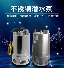 WQ-0.75BS Submersible stainless steel pumps 