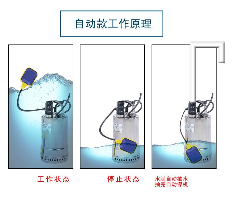 tainless Steel Single (Three) Phase Submersible Pumps QDN3-5-0.12KW 220V/60Hz 3