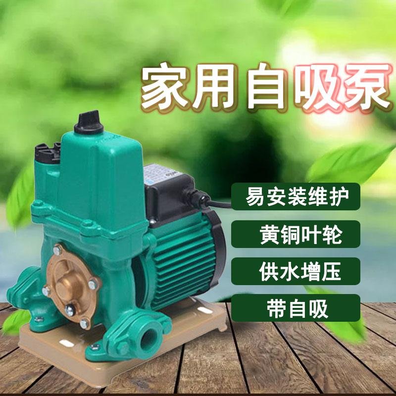 Single-phase self-priming pump PW-251EH Well with the pump