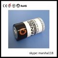 C Size 3.6v Lithium Batteries ER26500 with pins,connector,axial leads,wires,cap