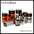 C Size 3.6v Lithium Batteries ER26500 with pins,connector,axial leads,wires,cap 4