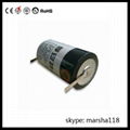 GPS tracker battery ER34615 3.6v 19000mAh D size lithium battery