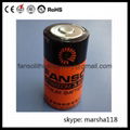 ER26500M-3.6V Lithium Thionyl Chloride Battery 1