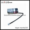 ER34615-3.6V Lithium Thionyl Chloride