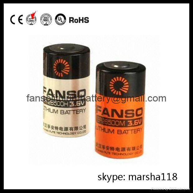 ER26500-3.6V Lithium Thionyl Chloride Battery