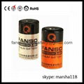 ER26500-3.6V Lithium Thionyl Chloride Battery