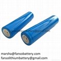 FANSO 3.6V Lithium Primary Battery