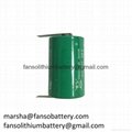 ER14250-3.6V Lithium Thionyl Chloride Battery