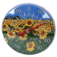 指針式溫度計,指針式溫度表,濕度計,家用溫度計