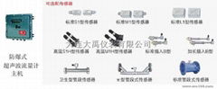 TDS-100F2防爆型固定壁挂式超声波流量计