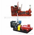 Diesel Fire Pump 2