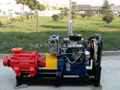 Diesel Fire Pump 5