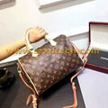 Louis Vuitton Speedy 25/30/35