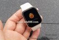 1:1 Clone Apple Watch Series 5/6 Apple Watches Smart Watches