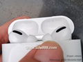 Apple Earphones