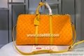 Replica Louis Vuitton Handbags Travelling Bags Luxury Bags