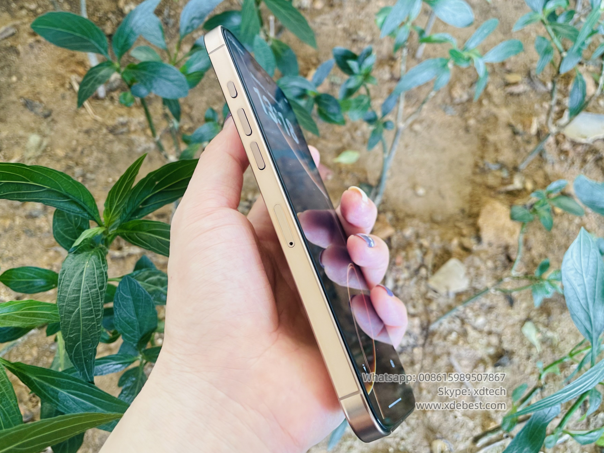 iPhone 16
