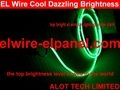 EL Wire Brighter than Polar Light 3