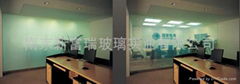 Electrochromic Glass /Switchable Glass