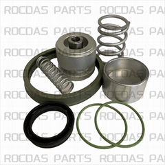 air compressor inlet valve unloading valve maintenance  KIT