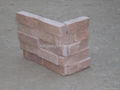 Sandstone Ledger  5