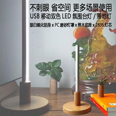 USB two color LED desk lamp LED floor