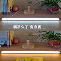 USB two color LED desk lamp LED floor lamp LED atmosphere lamp