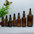 Cosmetics bottles Essential oil bottle 3