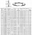 Carbon Steel Flange 3