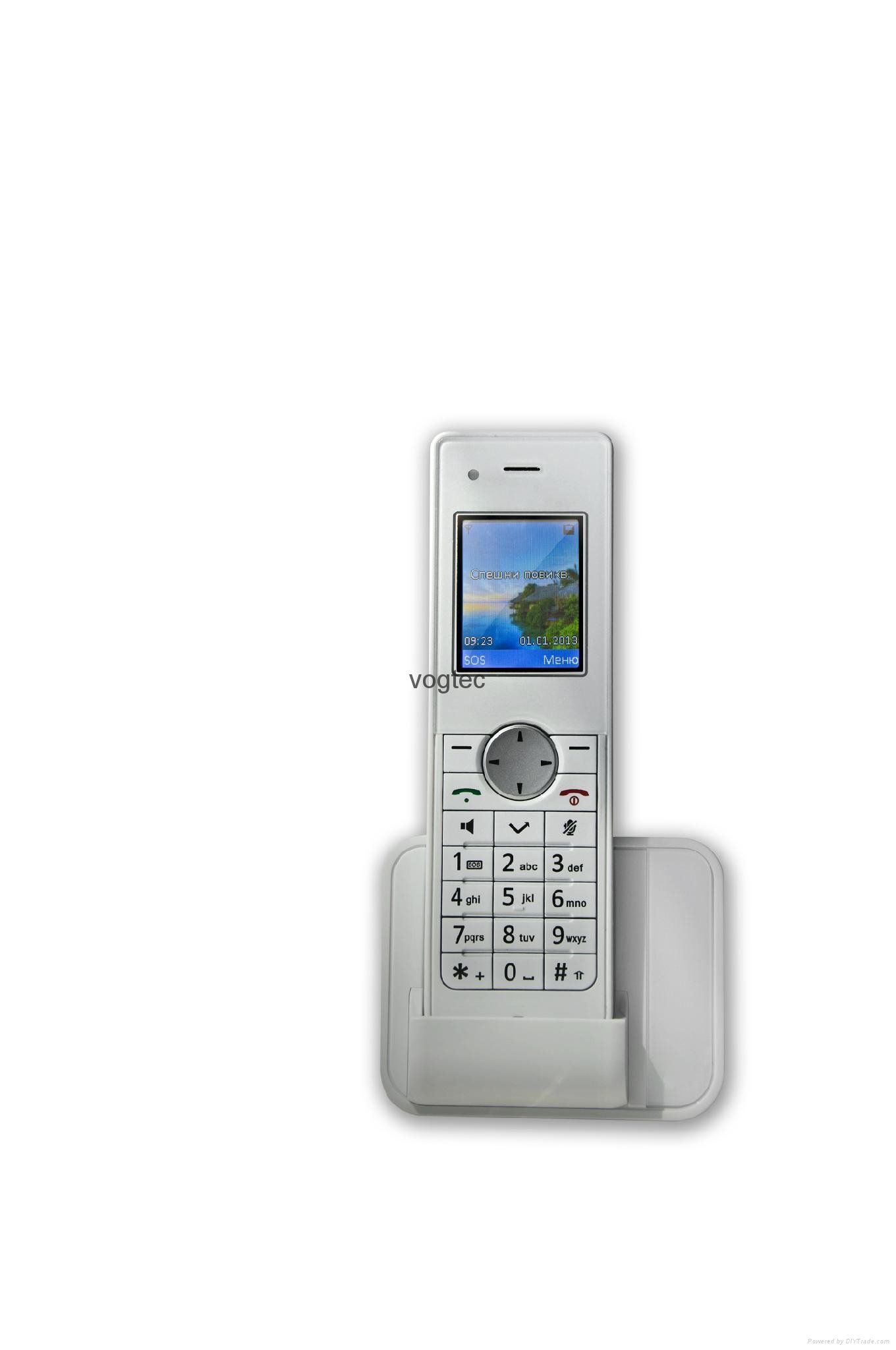 GSM CORDLESS PHONE (FWP)  D155G D181G