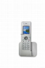 GSM CORDLESS PHONE (FWP)  D155G D181G