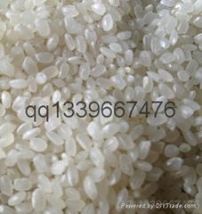 Long grain white rice