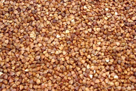 Roasted buckwheat kernel