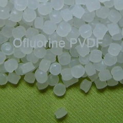 Polyvinylidene fluoride PVDF
