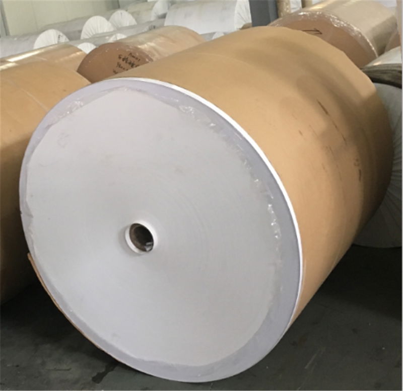 Food Grade OilProof Paper 800mm jinli (China Manufacturer