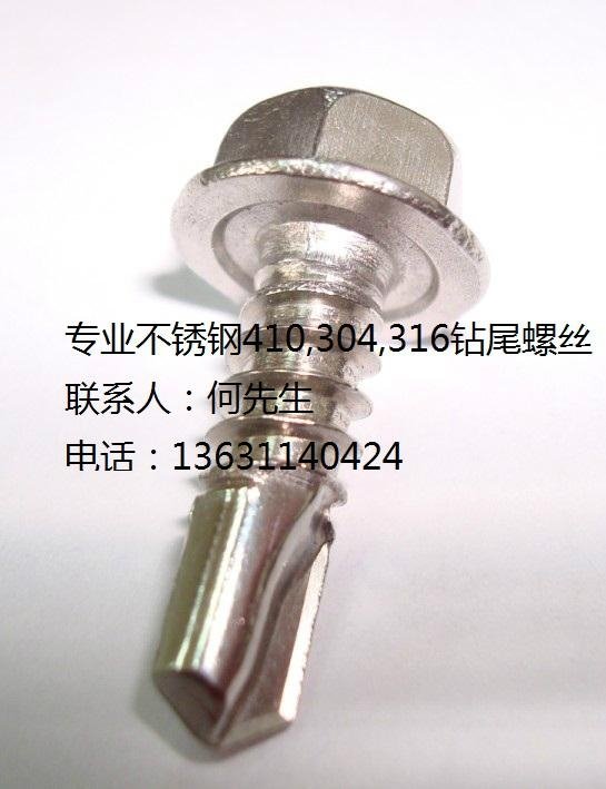  SUS304steel self-drilling screws  3