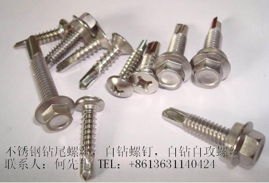 410 stainless steel self-drilling screws  4