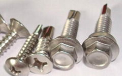 SUS304steel self-drilling screws