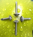 1022、410 stainless steel self-drilling screws  1