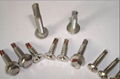 410 stainless steel self-drilling screws  4