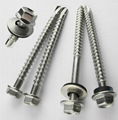 410 stainless steel self-drilling screws  5