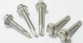 1022、410 stainless steel self-drilling screws  3